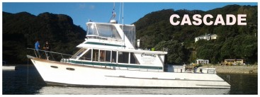CASCADE_AAA_b.jpg