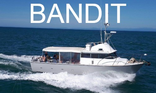 Bandit_cover_pg.jpg